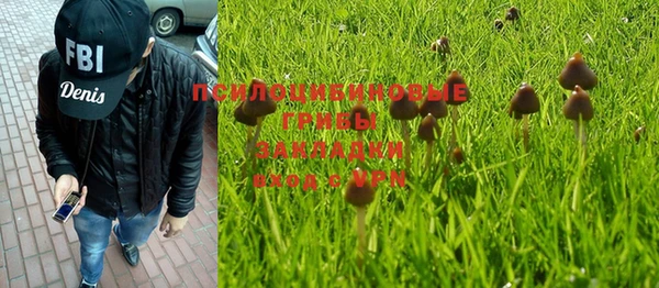спиды Строитель