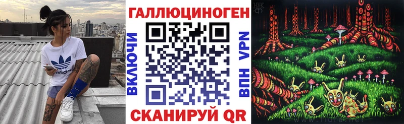Псилоцибиновые грибы Cubensis  Чекалин 